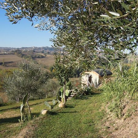 La Luna Nell'Orto-Casa Vacanza Ecologica E Agricoltura Biodinamica Barchi Ngoại thất bức ảnh
