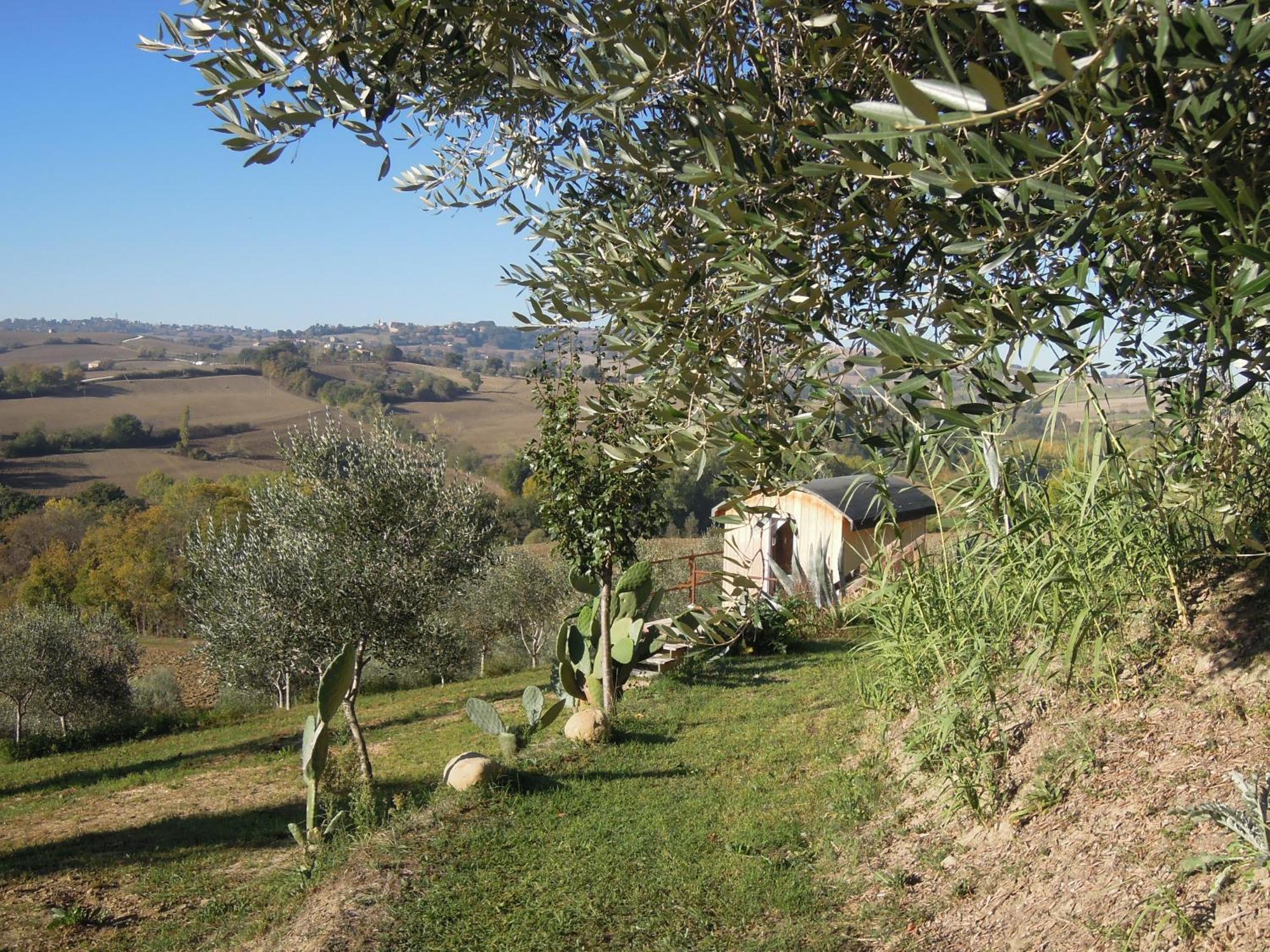 La Luna Nell'Orto-Casa Vacanza Ecologica E Agricoltura Biodinamica Barchi Ngoại thất bức ảnh