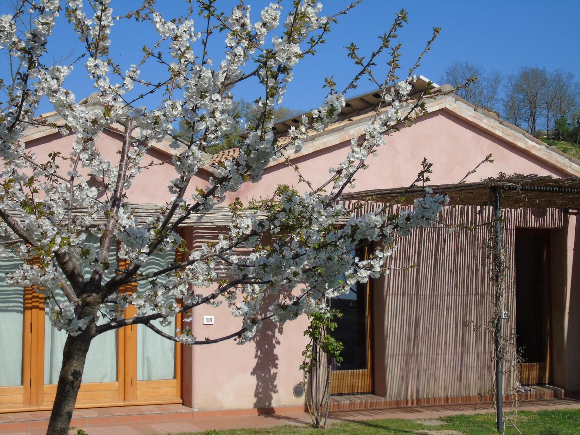 La Luna Nell'Orto-Casa Vacanza Ecologica E Agricoltura Biodinamica Barchi Ngoại thất bức ảnh
