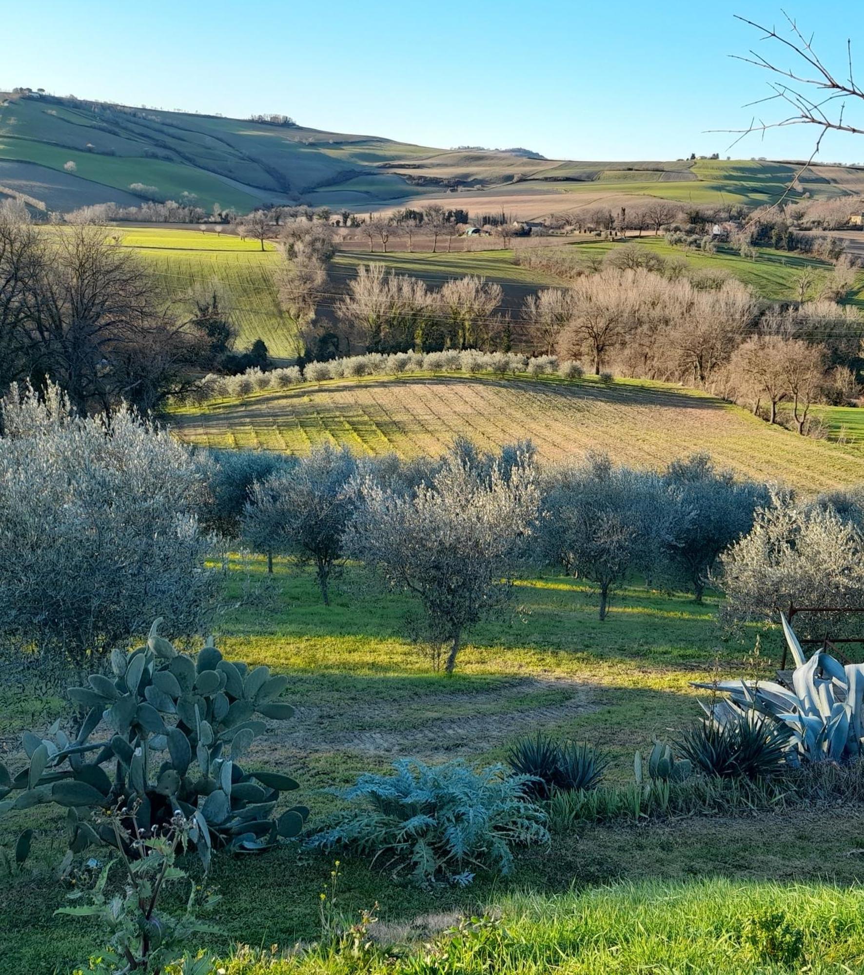 La Luna Nell'Orto-Casa Vacanza Ecologica E Agricoltura Biodinamica Barchi Ngoại thất bức ảnh